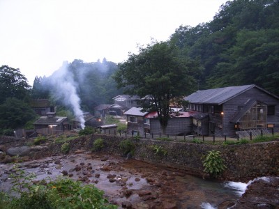 Japón se abstiene de hacer recortes a los incentivos a la geotermia