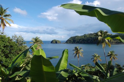 El cambio climatico y por que la geotermia podría ser una solución para el Caribe