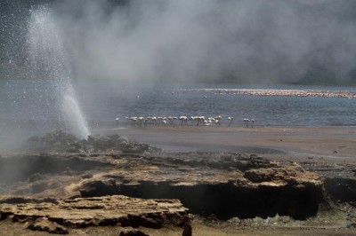 La geotermia mantiene los precios de energía estables a pesar de la sequía en Kenia