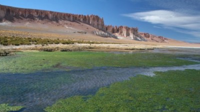 En el sur de Chile, utilizarán geotermia para secado de leña y cultivo agrícola en invernaderos