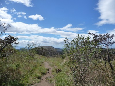 Se acercan posturas en torno al parque natural Rincón de la Vieja