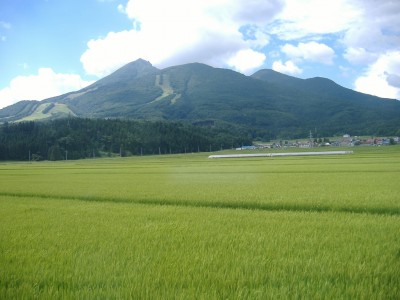 Proyecto geotérmico paralizado en Fukushima