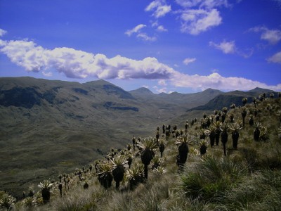 Ecuador y Colombia impulsarán el proyecto Tufiño-Chiles-Cerro Negro