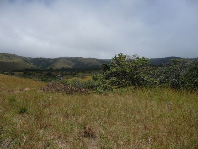Sigue el debate en Costa Rica en torno a la geotermia