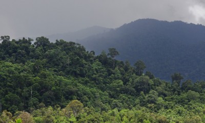 Alemania proveerá hasta $ 611 millones para el desarrollo en Indonesia