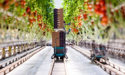 Invernadero Geotérmico en Coz Coz, Panguipulli, permitirá el cultivo de tomates durante todo el año – Chile