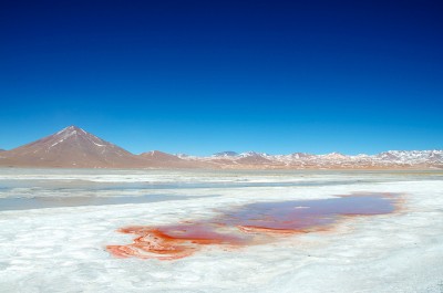 Nuevo cambio de fecha para presentación de EOI para proyecto geotérmico Laguna Colorada, Bolivia: 13 de Abril