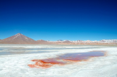 Bolivia busca inversiones niponas en minería y geotermia