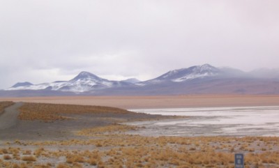 El ICE ayudará a Bolivia con Laguna Colorada