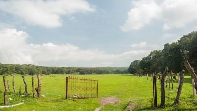 Energía geotérmica no es una amenaza para el Bosque La Primavera, México