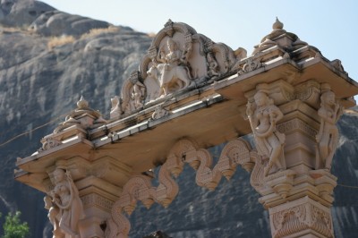 Tata busca un mayor desarrollo para Tata Power Renewable Energy