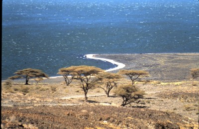 Inversor busca desarrollar 140 MW en geotermia en Turkana, Kenia