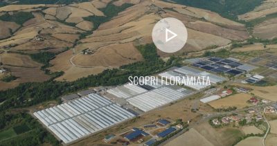 Enel suministrará calor geotérmico a invernaderos en la Toscana, Italia