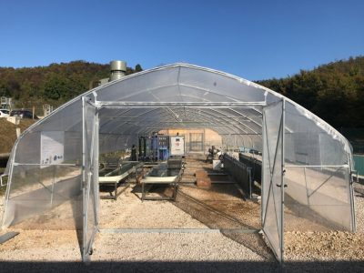 Cultivo de algas en invernadero con energía geotérmica, Italia