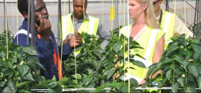 Geothermal Development de Kenia, comparte video sobre el uso geotérmico directo