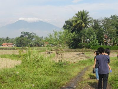 PGE explora el desarrollo geotérmico en el área de Gunung Masigit cerca de Kamojang