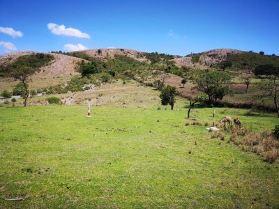 Fuerte interés de las empresas de perforación en el contrato del proyecto geotérmico Corbetti, Etiopía