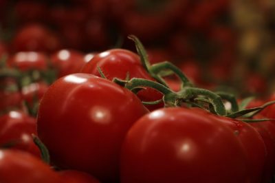 El tomate más barato de Turquía se produce con energía geotérmica