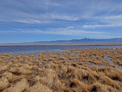 Ormat reducirá el tamaño del proyecto geotérmico Dixie Meadows, Nevada