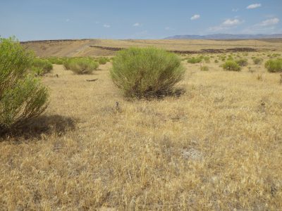 La Oficina de Administración de Tierras (BLM) acepta nominaciones para la venta de arrendamientos geotérmicos en Idaho en 2026.