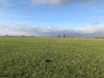 Adquisición sísmica para exploración geotérmica en Utrecht, Países Bajos.