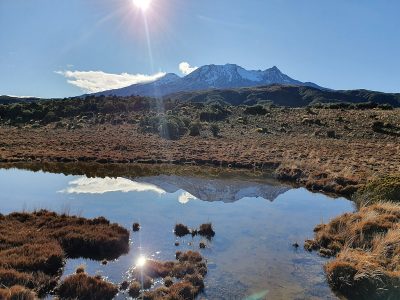 Oportunidad de doctorado: Geofísica geotérmica supercrítica, programa DeepHeat, Nueva Zelanda