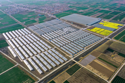 Invernaderos en Qingyun, China, ahorra costes y mejora la cosecha con calefacción geotérmica